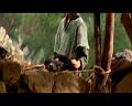 PDVD_1369