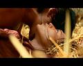 PDVD_1383