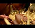 PDVD_1384