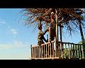 PDVD_1389