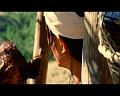 PDVD_1393