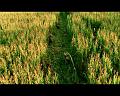 PDVD_1471