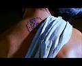 PDVD_1497