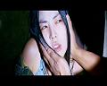 PDVD_1511