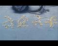 PDVD_1532