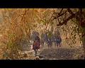 PDVD_1569