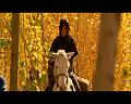 PDVD_1593