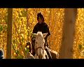 PDVD_1594