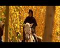PDVD_1604