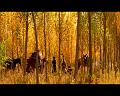 PDVD_1606