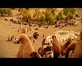 PDVD_1608