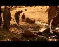 PDVD_1614