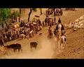 PDVD_1618