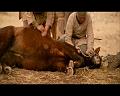PDVD_1634