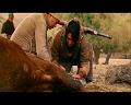 PDVD_1637
