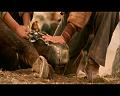 PDVD_1642