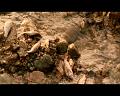 PDVD_1682