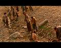 PDVD_1684