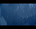 PDVD_1753