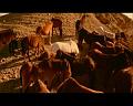 PDVD_1777