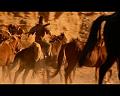 PDVD_1780