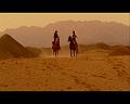 PDVD_1796