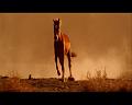PDVD_1798