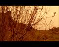 PDVD_1799