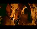 PDVD_2216