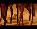 PDVD_2295
