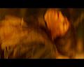 PDVD_2321