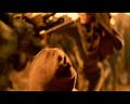 PDVD_2377
