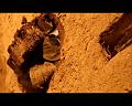 PDVD_2484