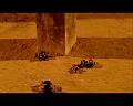 PDVD_2620