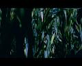 PDVD_652