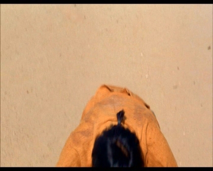 PDVD_1169.jpg