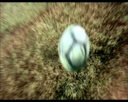 PDVD_1727.jpg