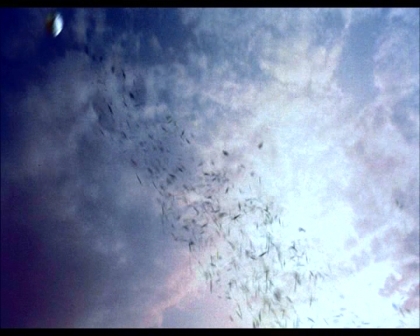 PDVD_2247.jpg