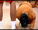 PDVD_1055