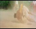 PDVD_1110