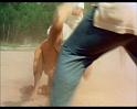 PDVD_1111