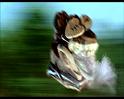 PDVD_1147