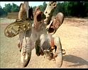 PDVD_1152