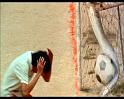 PDVD_1159