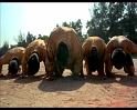 PDVD_1173