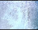 PDVD_1214