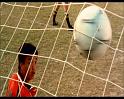 PDVD_1388