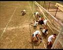 PDVD_1417