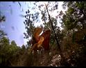 PDVD_150