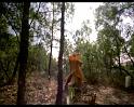 PDVD_151